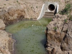 La mayor dificultad para los científicos es eliminar, además de la materia orgánica, la remoción del nitrógeno y el fósforo. ARCHIVO  /
