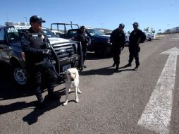 Elementos de la Policía Federal realizan operativo de seguridad en el Parque Guanajuato Bicentenario. EL UNIVERSAL  /