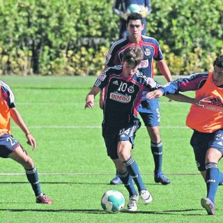 Destacan potencial de Fierro