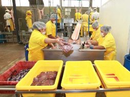 La empresa Sasa se encuentra ubicada en Atotonilco, Jalisco.  /