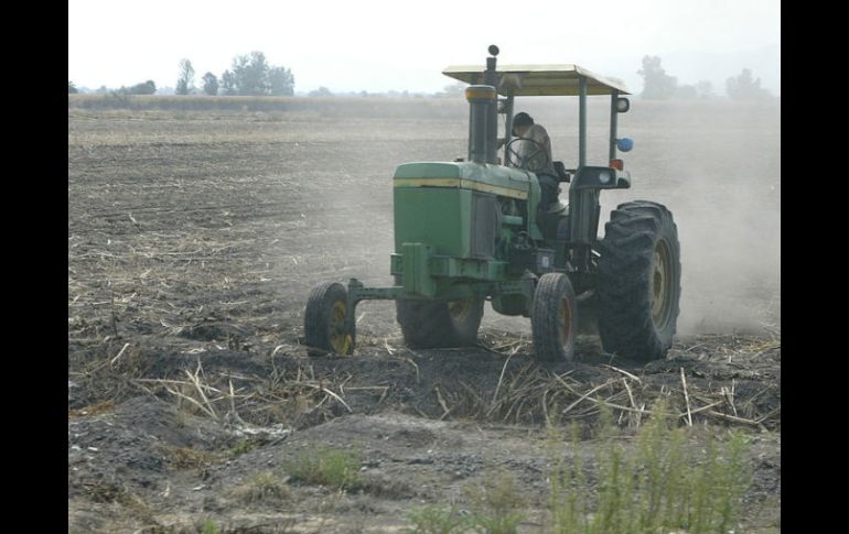 Se pagaron 73 millones de pesos para la adquisición de 49 millones de litros de diesel.  /