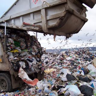 Diseñan código de barras que clasifica basura