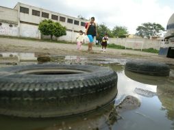 Inicia campaña para promover la prevención del dengue, se llevará a cabo en una treintena de colonias de la ZMG. ARCHIVO  /