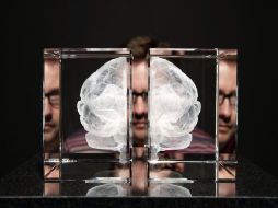 Una representación del cerebro en 3D grabado con láser en acrílico se exhibe en esta exposición londinense. EFE  /