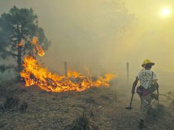 En lo que va del año, Zapopan encabeza la lista de municipios con mayor número de incendios forestales, al registrar 21.  /