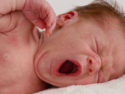 La ciencia no puede definir bien por qué el cuerpo recurre al bostezo al sentir sueño.  ESPECIAL  /