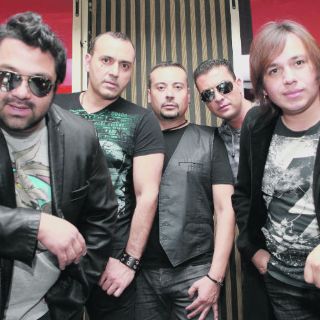 Elefante goza la libertad artística