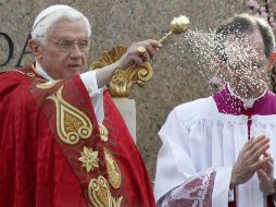 El Papa dio inicio a los ritos de la Semana Santa con la llamada procesión de las Palmas del Domingo de Ramos. EFE  /