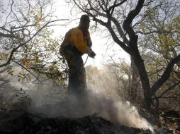 Se han presentado 15 eventos en áreas naturales protegidas, en el Bosque La Primavera y la Sierra de Quila. ARCHIVO  /