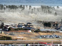 Si se produce un tsunami de hasta 21 metros  podría hacer impacto cerca de la planta nuclear de Hamaoka. AP  /