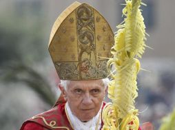 En Domingo de Ramos, el Papa dijo que lo principal es la invitación para adoptar un punto de vista adecuado por encima de la Humanidad.  /