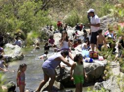 Las tareas de los brigadistas abarcarán la realización de operativos en toda el área del bosque. ARCHIVO  /