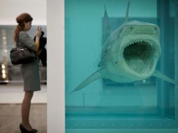 La exposición incluye animales metidos en líquido, como vacas, tiburones, peces u ovejas. AFP  /