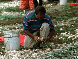 El crecimiento de los volúmenes de CVA (comercio virtual de agua) ha sido desparejo entre las diferentes regiones del mundo. ARCHIVO  /