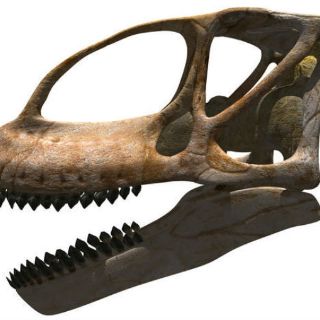 Turiasaurus riodevensis, el dinosaurio más grande de Europa