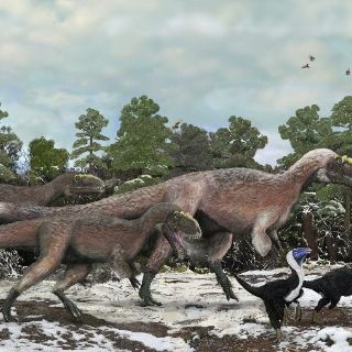 Hallan en China tres esqueletos del mayor dinosaurio que tuvo plumas