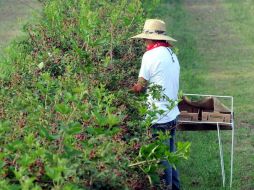 Buscarán manifestar su crítica y celebrar la historia y cultura que debe unir a esa comunidad. ARCHIVO  /