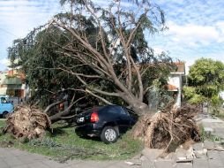 Un fuerte temporal en Buenos Aires, Argentina, causó al menos 13 muertos y daños materiales. REUTERS  /