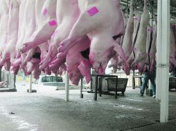 La venta de carne de ganado porcino comenzará en tres o seis meses debido a la certificación que tiene que hacer el Gobierno chino.  /