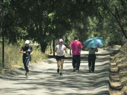 Ideal para los que aman correr sobre asfalto cuidando tobillos y respirando el olor a eucalipto y pino.  /