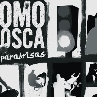 Como Mosca en parabrisas