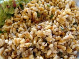 El alimento se recolectó en el municipio de Charcas, San Luis Potosí. ID  /