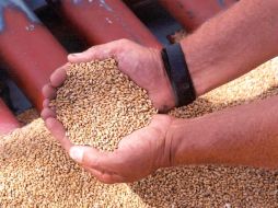 Un nuevo embarque llegará en julio próximo y el último en noviembre.  /