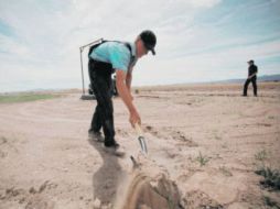 Algunos menonitas de Nuevo Ideal, Durango, cavan zanjas para una mejor utilización del agua que se extrae de un pozo. EL UNIVERSAL  /