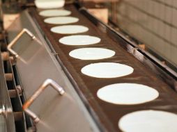 La tortilla de algas estaría en condiciones de tener un bajo costo y consumo masivo, como la de maíz. ARCHIVO  /