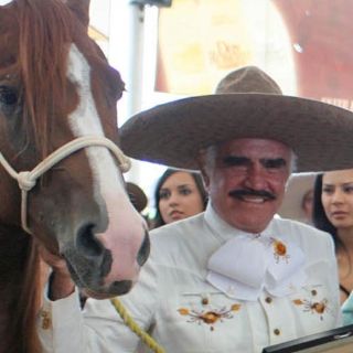 Desata polémica edificación de busto a Vicente Fernández en Cocula