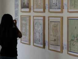 La exposición consta de 46 láminas.  /