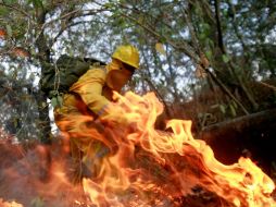 Del 1 de enero al 12 de abril del presente año se han registrado 154 incendios forestales en Jalisco. ARCHIVO  /