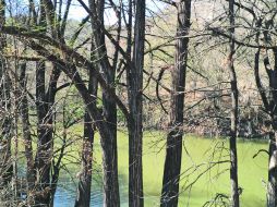 Entre el río y el bosque, Palmarejo es sin duda un bello escenario para disfrutar de la Naturaleza.  /