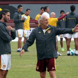 Los pecados de los emplumados