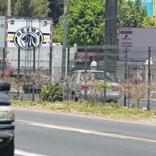 Tlaquepaque “disfraza” reforestación en Carretera a Chapala