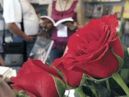 Por primera vez se celebrará en siete sedes de la UNAM. EL UNIVERSAL  /
