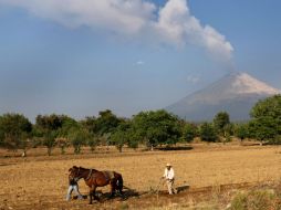 El gobierno del estado capacitó a choferes para que puedan conducir vehículos en caso de evacuación. EFE  /