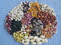 El frijol: un regalo de México para el mundo es un texto que puede consutarse en www.fundacionherdez.com.mx.  /