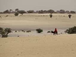 En las próximas décadas incrementará la demanda de agua para consumo y riego de cultivos. AP  /