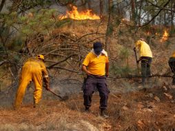 El fuego se extendió en aproximadamente 30 héctareas y la mayor parte del incendio se concentró en arbustos y hojarasca.  /