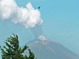 La emisión de ceniza de ayer también alcanzó a la capital de Puebla. AFP  /