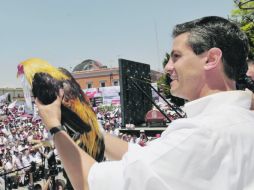 Al candidato tricolor lo recibieron en Aguascalientes con ''Pelea de gallos'', la canción característica de la Feria de San Marcos. NTX  /