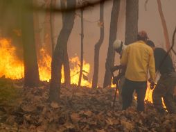 Cinco predios del área natural protegida resultaron afectados; brigadistas trabajan en la zona.  /