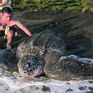 América conmemora el Día de la Tierra