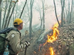 Brigadistas, que continúan recibiendo apoyo de ciudadanos, se mantienen en el lugar del siniestro para tratar de sofocar el incendio.  /