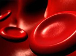 Las variedades de la enfermedad se desarrollan a partir de células hematopoyéticas madre. ESPECIAL  /