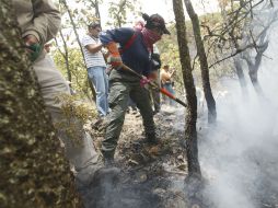 durante la noche del lunes, trabajaron 350 brigadistas sin que se registraran incidentes.  /