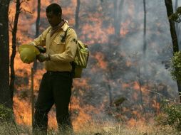 A tres días de haber iniciado el fuego en el bosque, algunas escuelas decidieron parar sus actividades. REUTERS  /