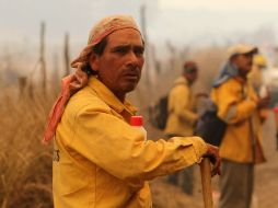 La Seder informa que no hay una sola víctima mortal como secuela del fuego.En la imagen uno de los cientos de brigadistas que colaboran  /