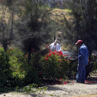 El Salto señala a la SCT como responsable de poda